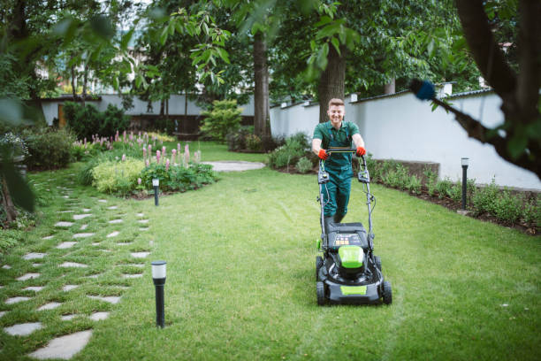 Lawn Care