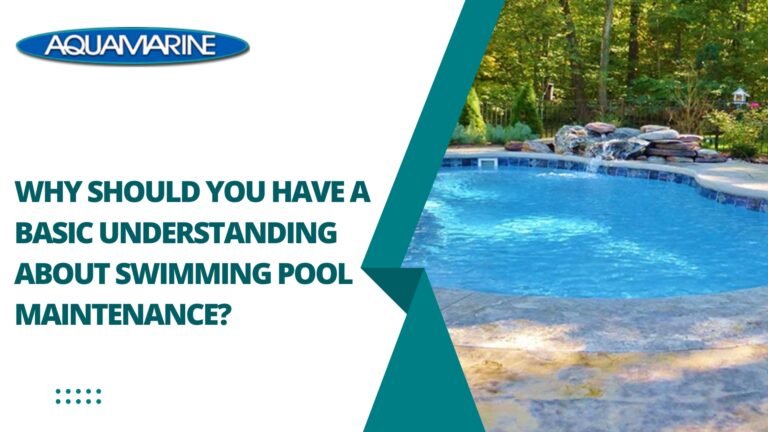 Why Do Pool Why Should You Have a Basic Understanding About Swimming Pool ...