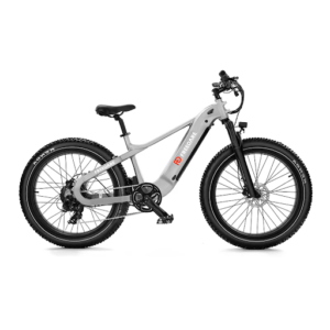 eBikes