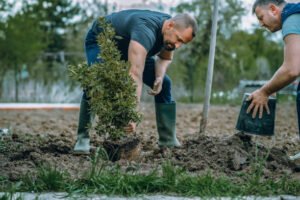 Melbourne Tree Specialists