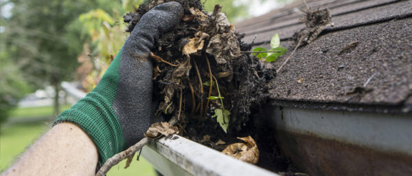 Gutter Cleaning