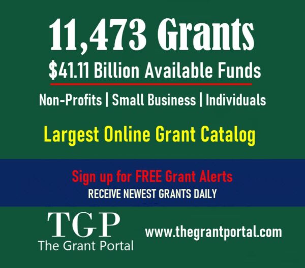 Finding Grants for Nonprofits that Support Business & Commerce