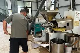 Palm Oil Mill Investment: What Business Owners Should Know Before Starting